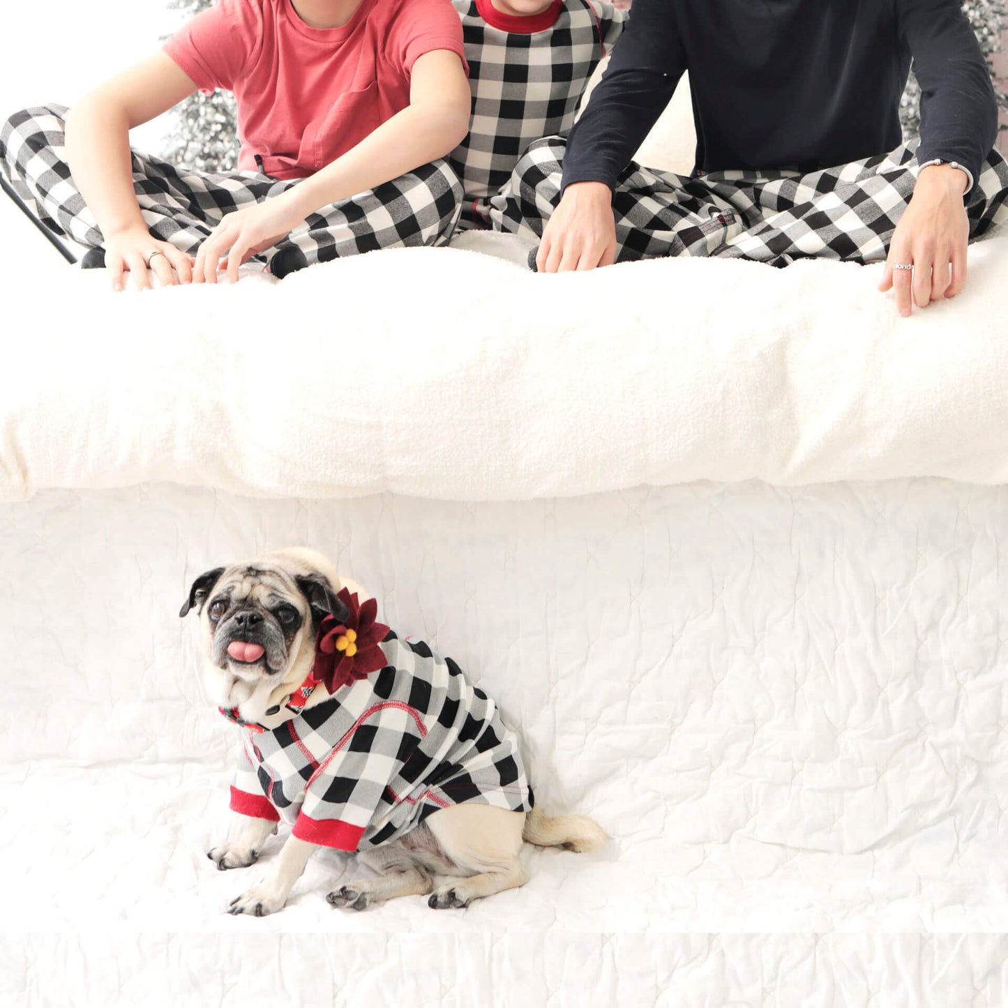 Poinsettia Holiday Dog Collar Flower