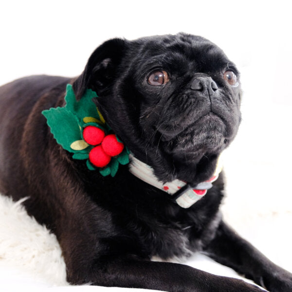 Holly Holiday Dog Collar Accessory