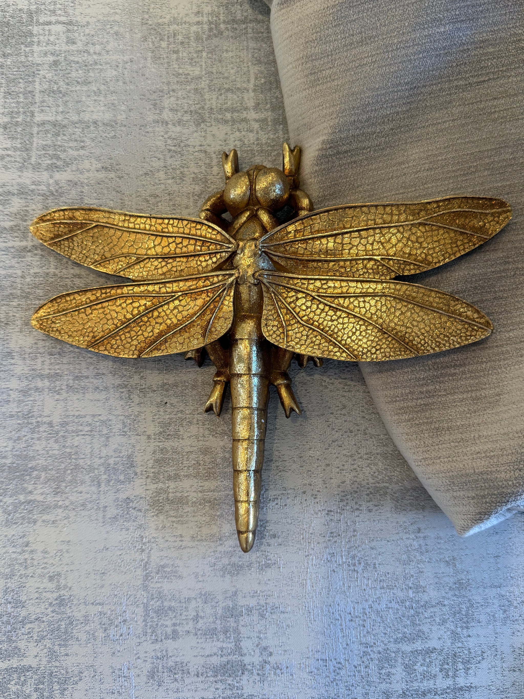 Dragonfly, Resin, Insect Design Wall Mount