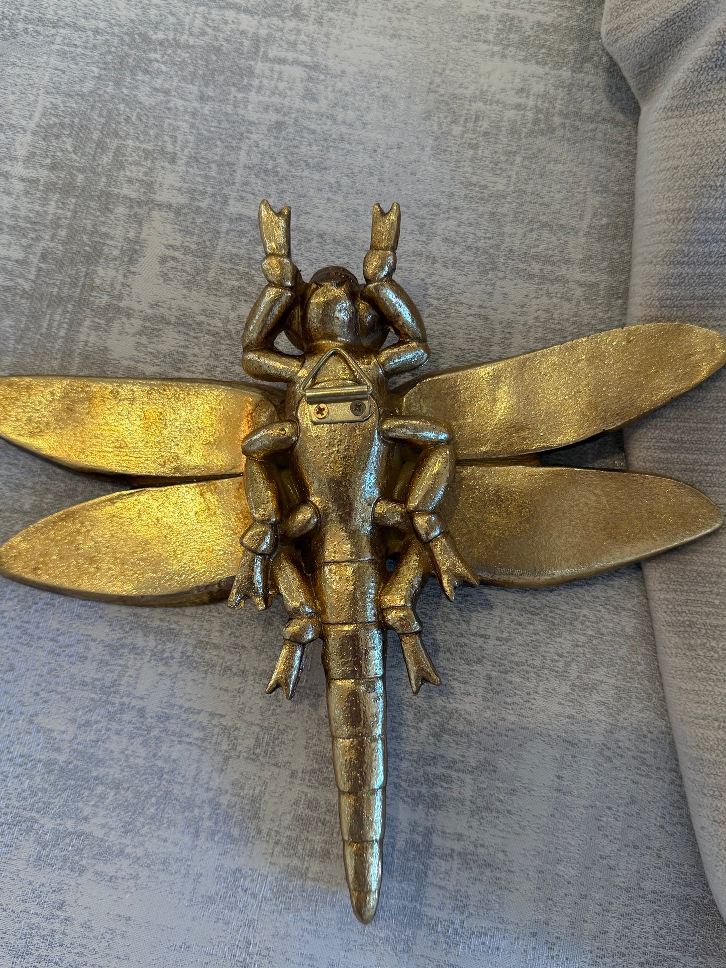 Dragonfly, Resin, Insect Design Wall Mount