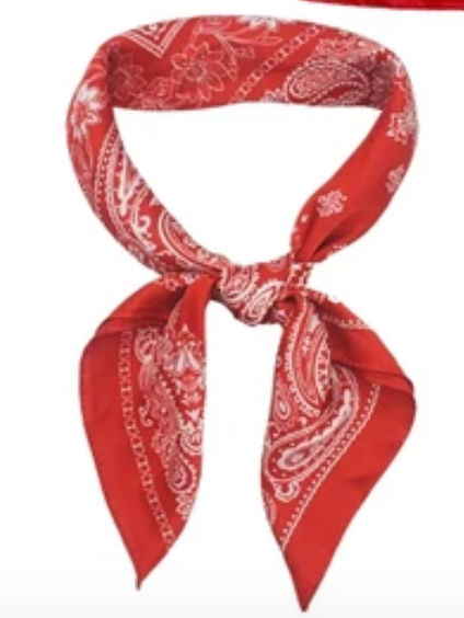 Red & White Paisley Block Print Silk-Feel Scarf
