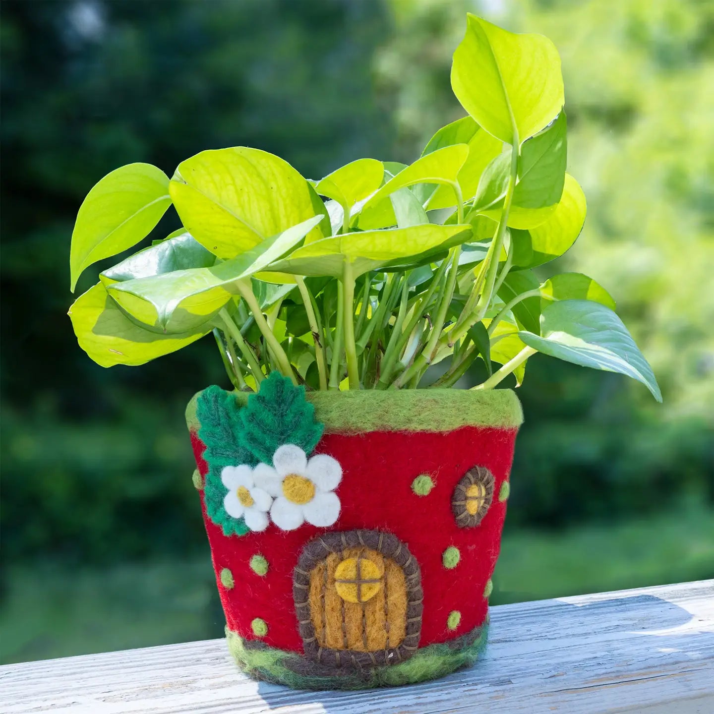 A red felt pot shaped like a strawberry house with a yellow door and white flowers on a white background.