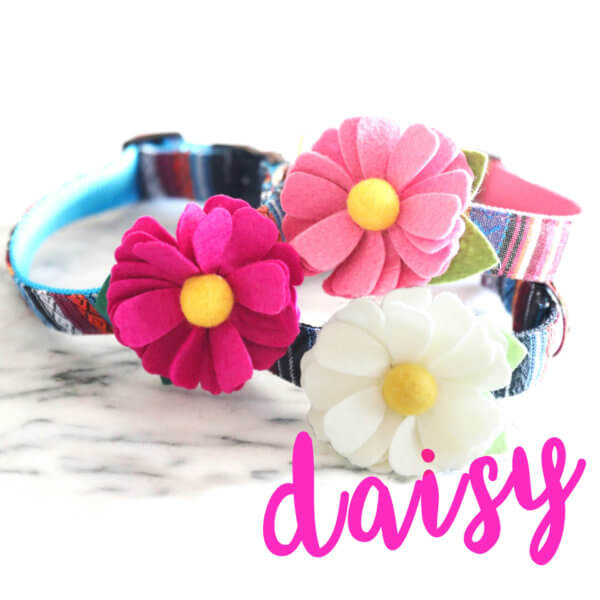 Dog Collar Daisy Flower
