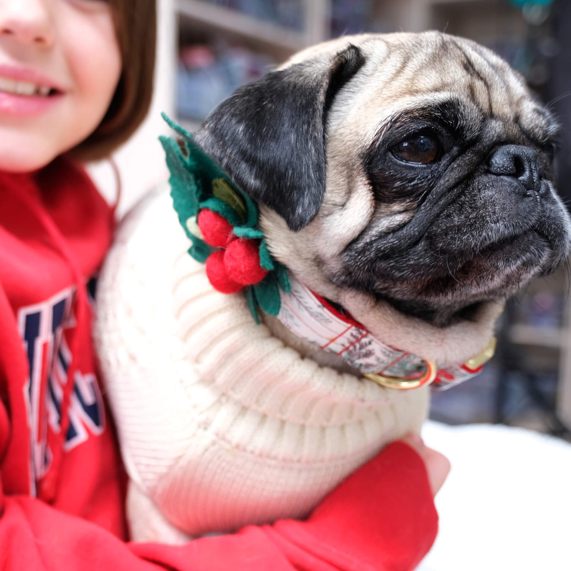 Holly Holiday Dog Collar Accessory