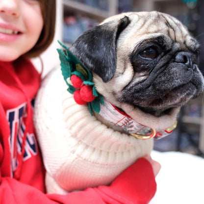 Holly Holiday Dog Collar Accessory